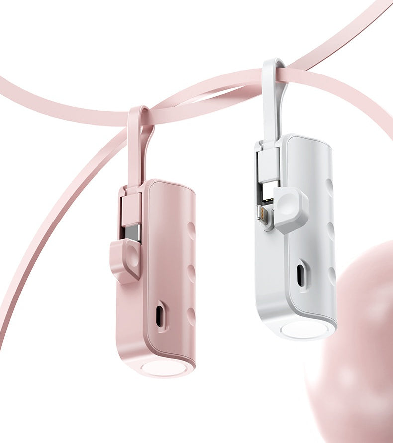 Portable charger