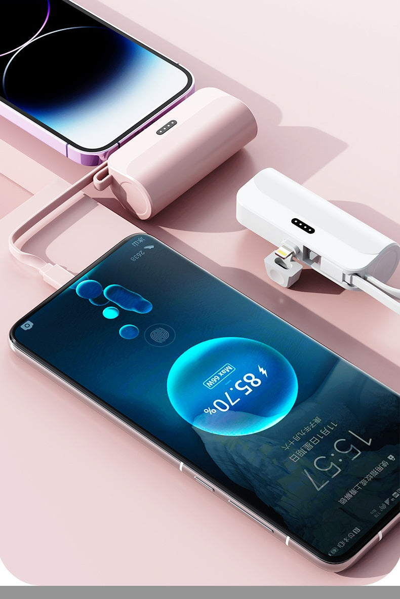 Portable charger
