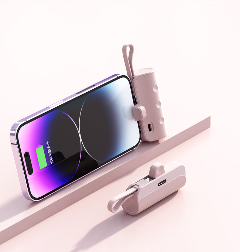 Portable charger