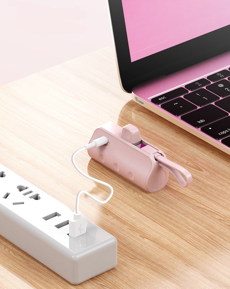 Portable charger