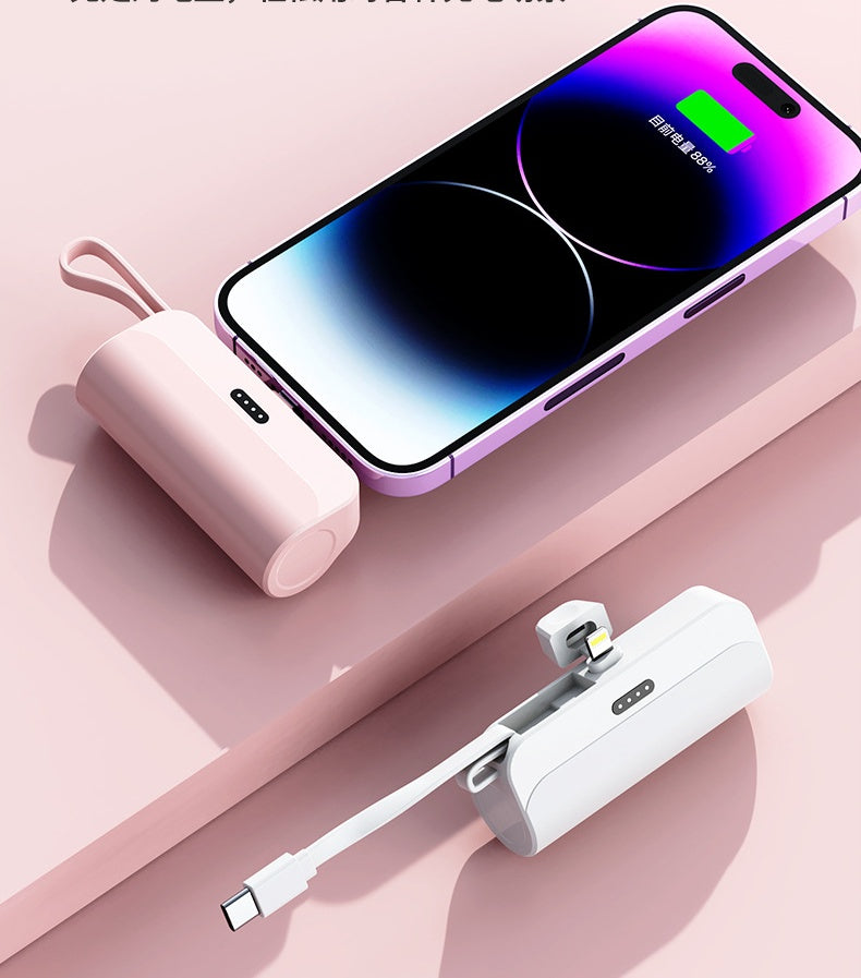 Portable charger